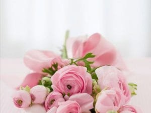 Volledige bloemen recensie